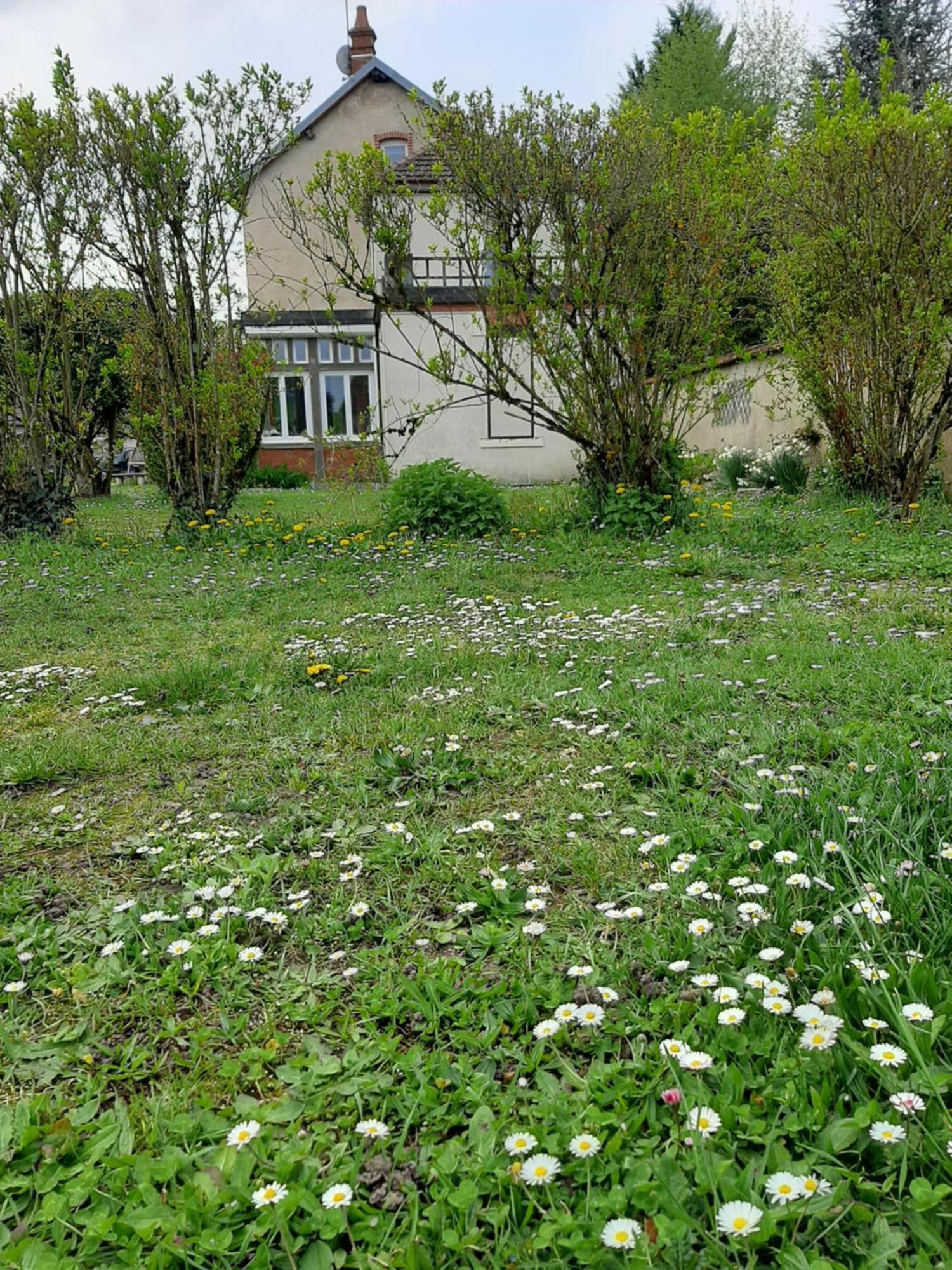 La Coutrotte Becquine Heuilley-sur-Saone Exterior foto